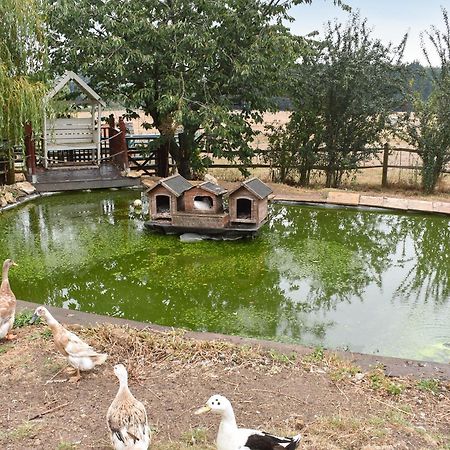 South Wing Coldharbour Park Farm Villa Rake Ngoại thất bức ảnh