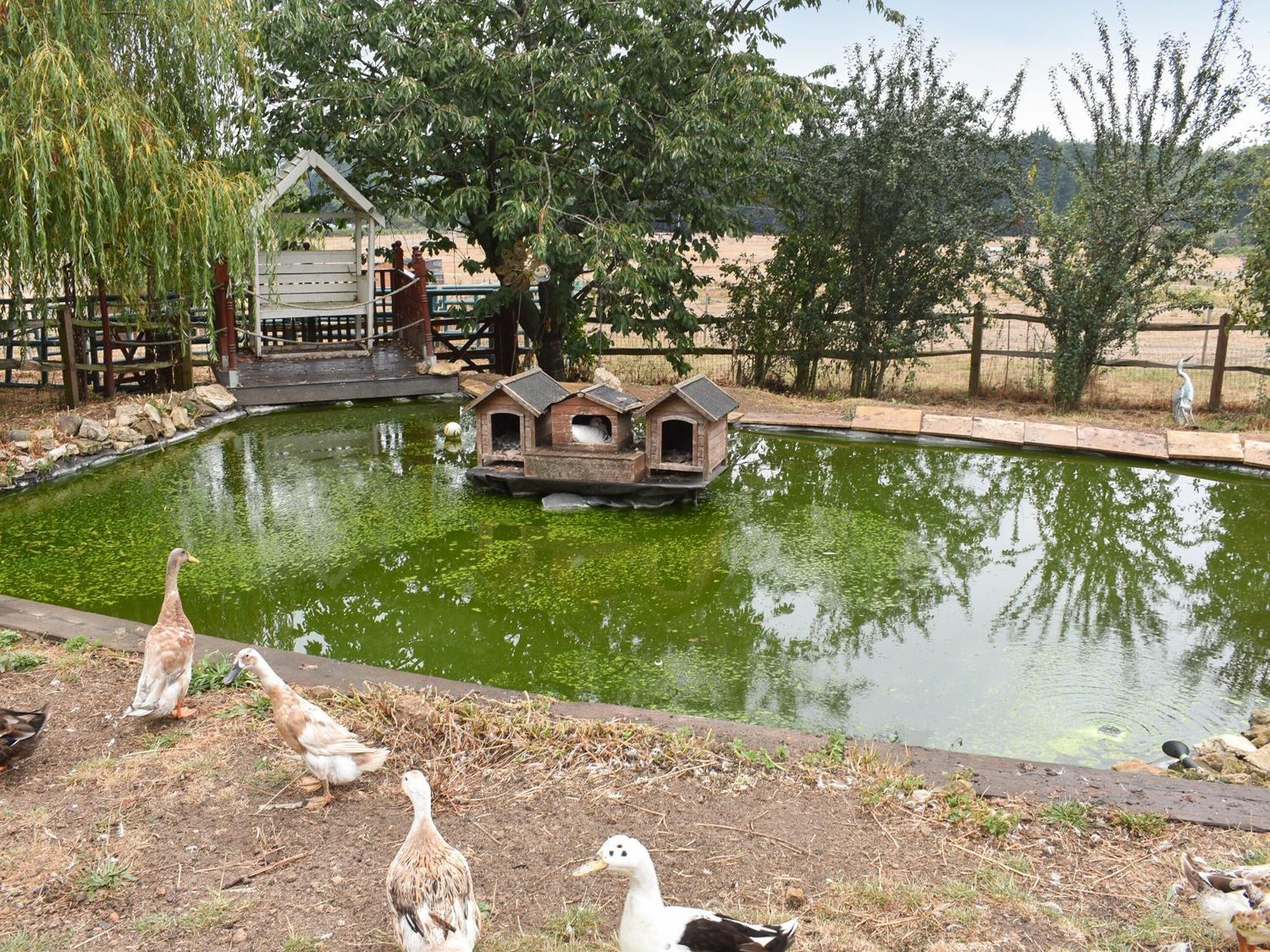 South Wing Coldharbour Park Farm Villa Rake Ngoại thất bức ảnh